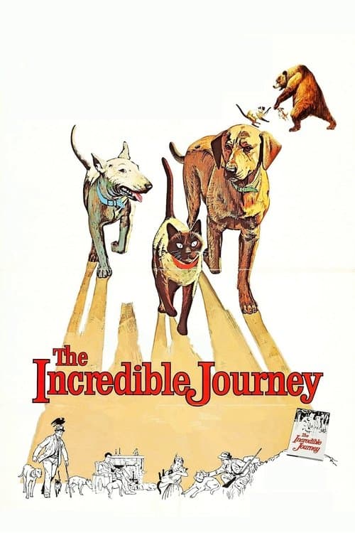 The Incredible journey